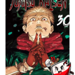 Jujutsu Kaisen - Tom 30